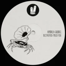 Andrea Giudice - Destroyed Need You [Smiley Fingers]