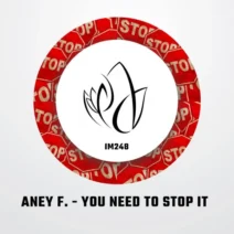 Aney F. - You Need To Stop It [Innocent Music]