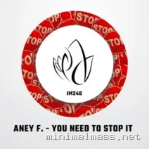 Aney F. – You Need To Stop It cover