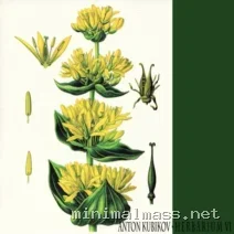Anton Kubikov – Herbarium part six cover