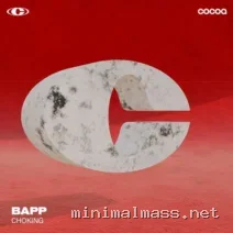 BAPP – Choking cover