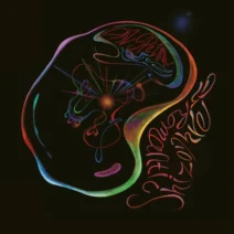 Das SPEZIAL - Romantic Schizophremic [Mule Musiq]