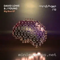 David Lowe, J Young (UK) – Big Boss cover