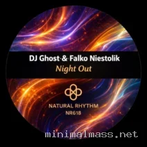 Falko Niestolik, DJ Ghost – Night Out cover