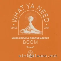 Groove Aspect, Kriss Reeve – Boom cover