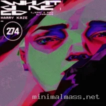 Harry Kaze – What U Need EP cover