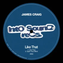 James Craig - Like That [Into Sound Records]