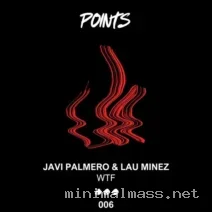 Javi Palmero, Lau Minez – Wtf cover