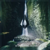 Jonas Saalbach, Lexer – Data Romance cover