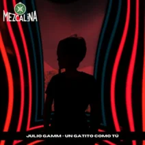 Julio Gamm – Un Gatito Como Tú