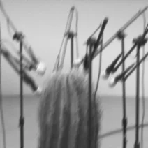 Leo Patt - Samarium [Figura Negra]