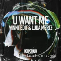 MiNNt Edit, Luda Mertz – U Want Me cover