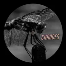 Phillip O – Changes