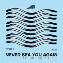 Pierre C, R107 – Never Sea You Again cover