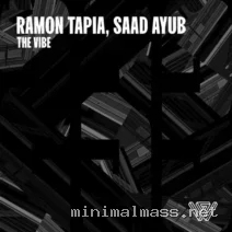 Ramon Tapia, Saad Ayub – The Vibe cover