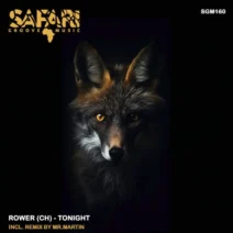 Rower (CH) - Tonight [Safari Groove Music]