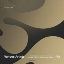 VA - [DAM42] [Afterme]