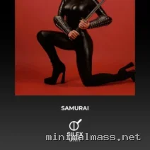 VA – Samurai cover