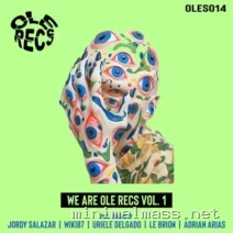 VA – We Are Ole Recs, Vol. 1 cover
