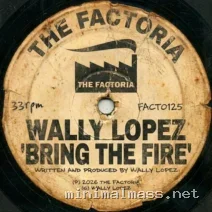 Wally Lopez – Bring the Fire cover