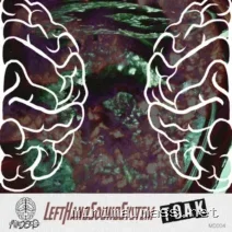 lefthandsoundsystem – Toak cover