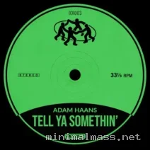 Adam Haans – Tell Ya Somethin’ cover