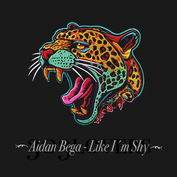 Aidan Bega – Like I’m Shy