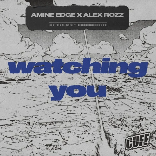 Amine Edge, Alex Rozz – Watching You