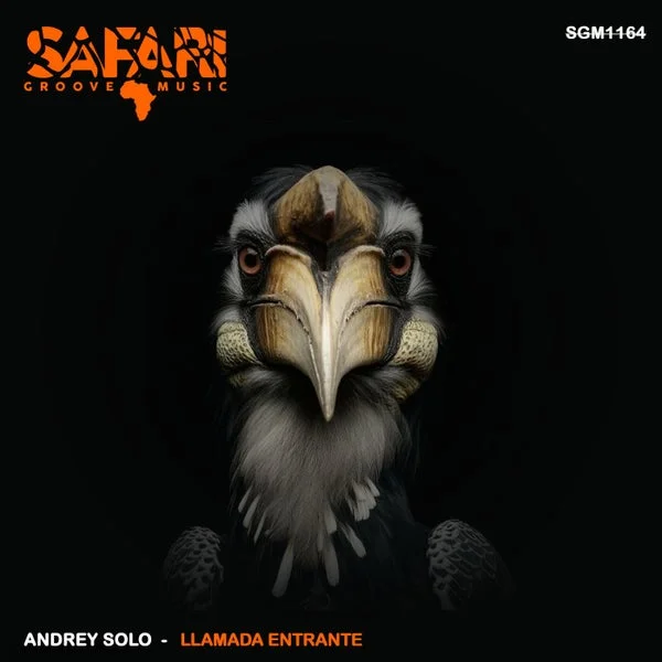 Andrey Solo – Llamada Entrante
