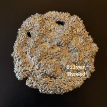 Anton Kubikov - Silver Thread [Randomart]