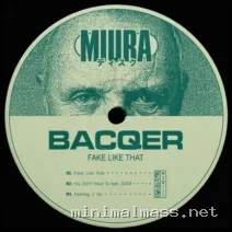 Bacqer, DVSR – Fake Like That cover