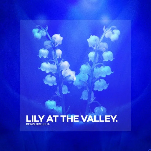 Boris Brejcha – Lily At The Valley