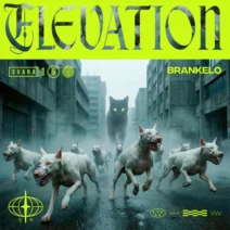 Brankelo - Elevation EP [Suara]