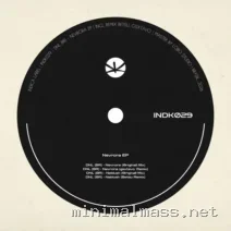 DNL (BR) – Nevrora cover