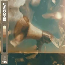 Darlyn Vlys - Propaganda [Sincopat]