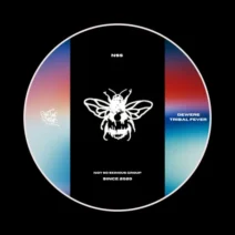 Dewere - Tribal Fever [Not So Serious]