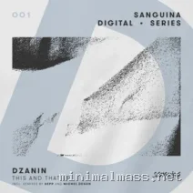 Dzanin – This and That EP cover