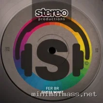 Fer BR – Guess What cover