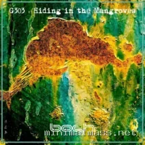 G303 – Hiding in the Mangroves cover