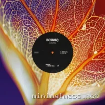 Gruuve – Weird Call EP cover