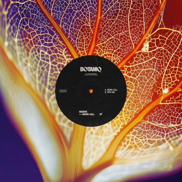 Gruuve – Weird Call EP