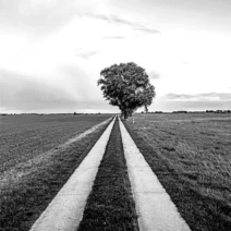 Gunnar Zander - Pampin [Acker Records]