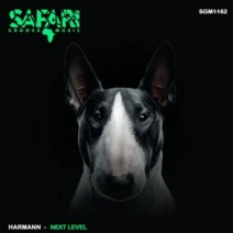 Harmann - Next Level [Safari Groove Music]