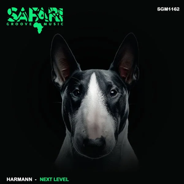 Harmann – Next Level