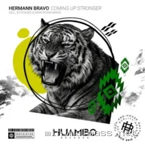 Hermann Bravo – Coming up Stronger cover