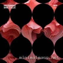 Hotswing – She Calls cover
