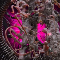 INMNT - Revenge [Surrealismo Records]