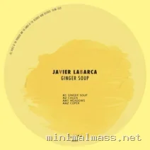 Javier Labarca – Ginger Soup cover