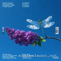 Jim Naposhto – Long Time cover