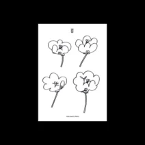 Lawrence - Poppies [Smallville Records]